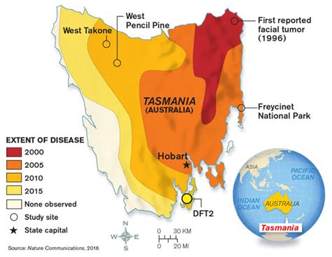 tasmanian devil location map